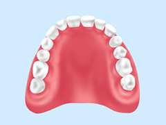 レジン床義歯/保険診療